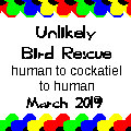 Unlikely Bird Rescue story thumbnail